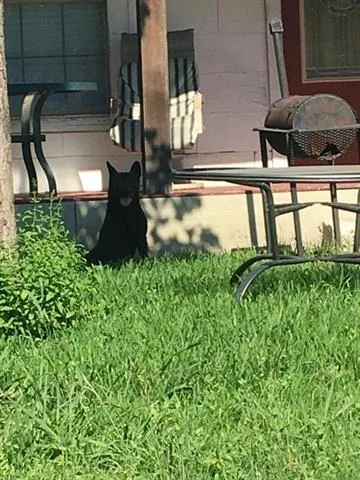Hunter
