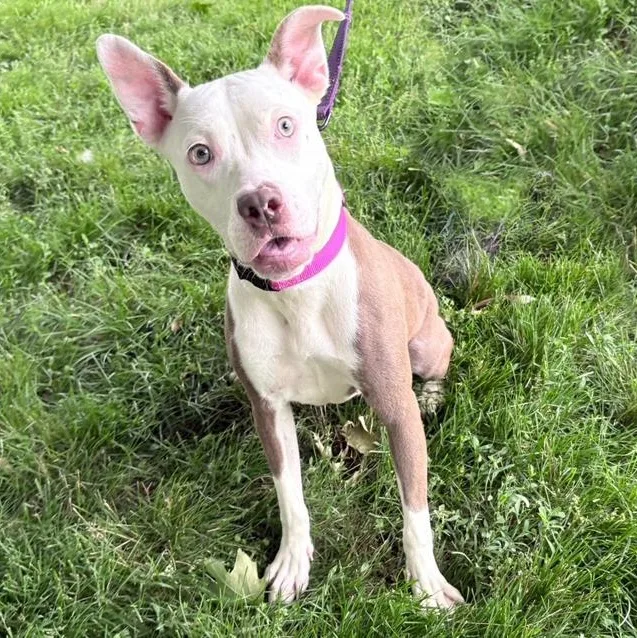 Felicity thumbnail 2