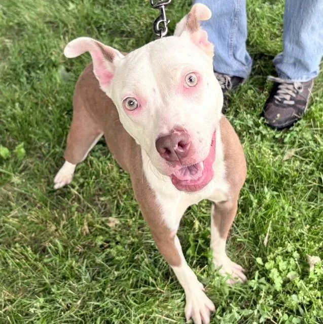 Felicity thumbnail 4