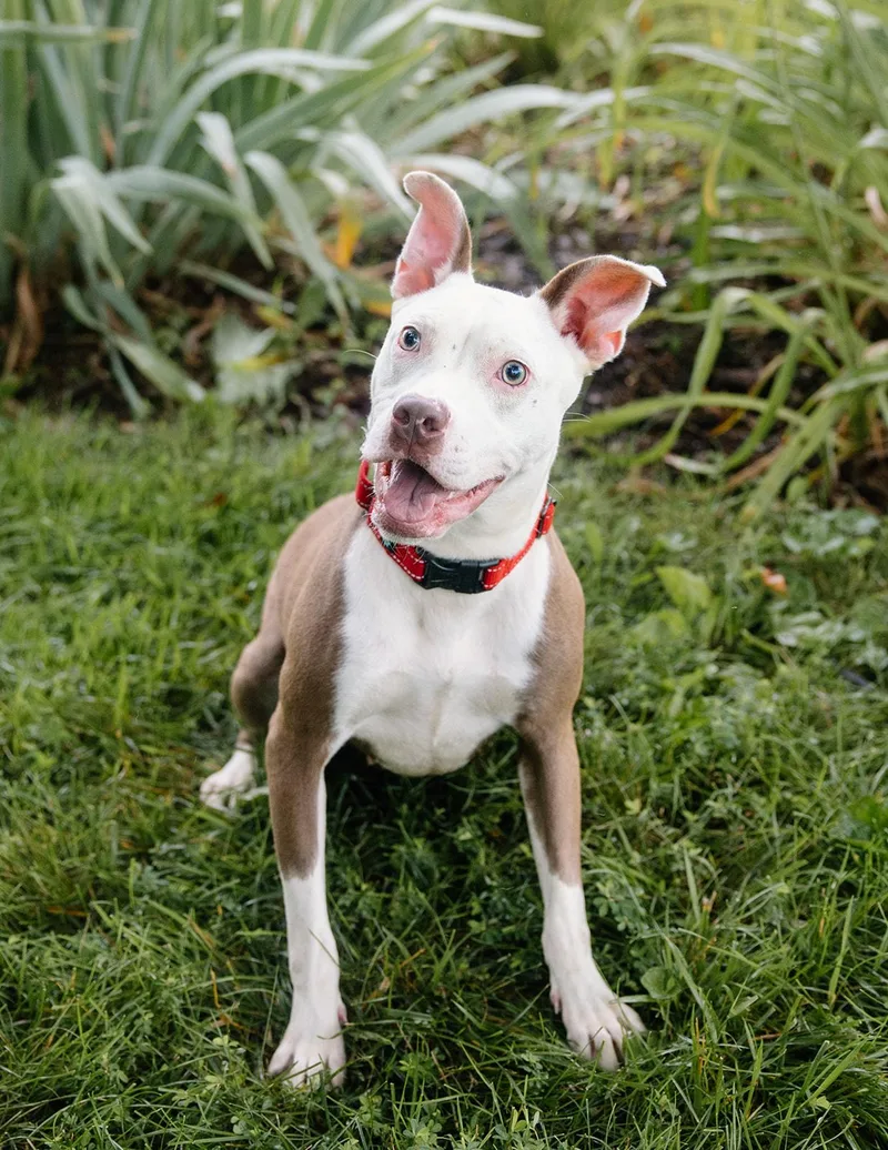 Felicity thumbnail 6