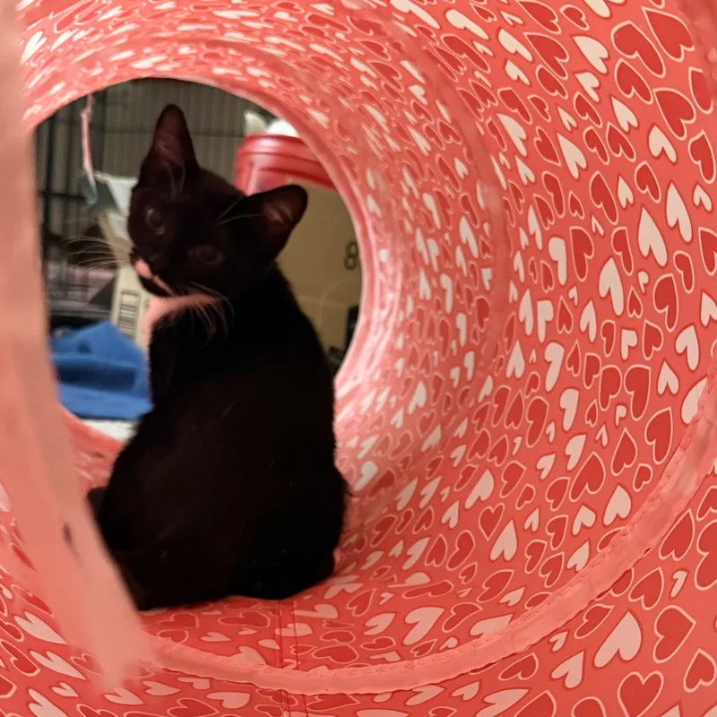 Ethel thumbnail 2