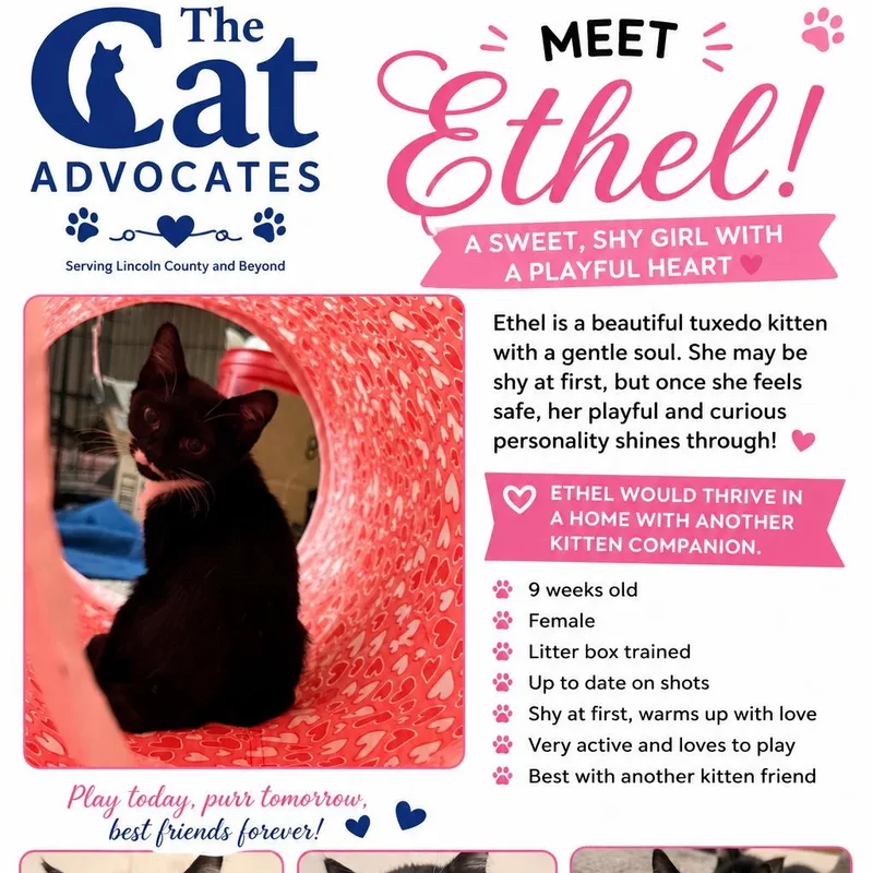 Ethel thumbnail 3