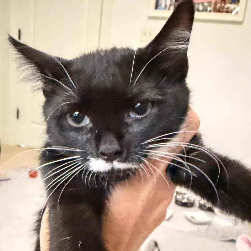 Ethel thumbnail 4