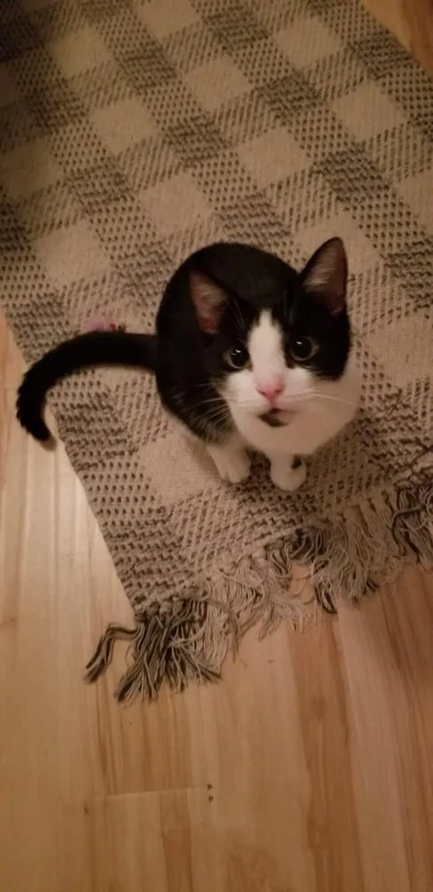 Magdalene Snow Angel thumbnail 2