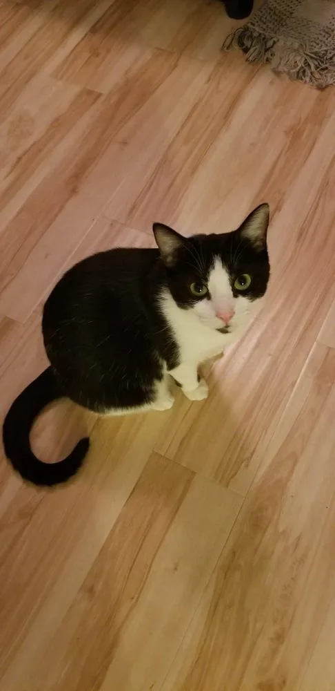 Magdalene Snow Angel thumbnail 3