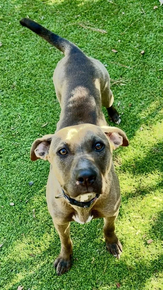 Oakleigh thumbnail 3