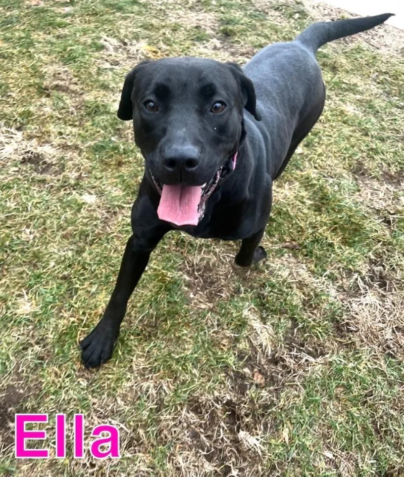 Ella