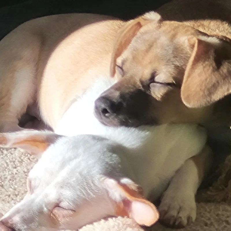 Ricky Martin thumbnail 4