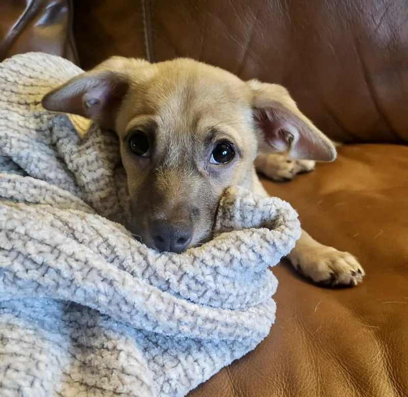 Ricky Martin thumbnail 5