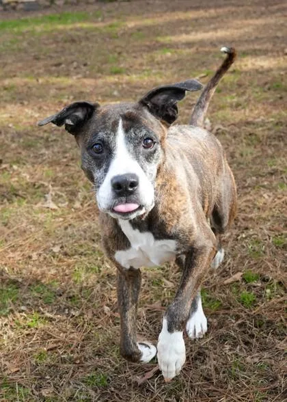 Clairette thumbnail 3