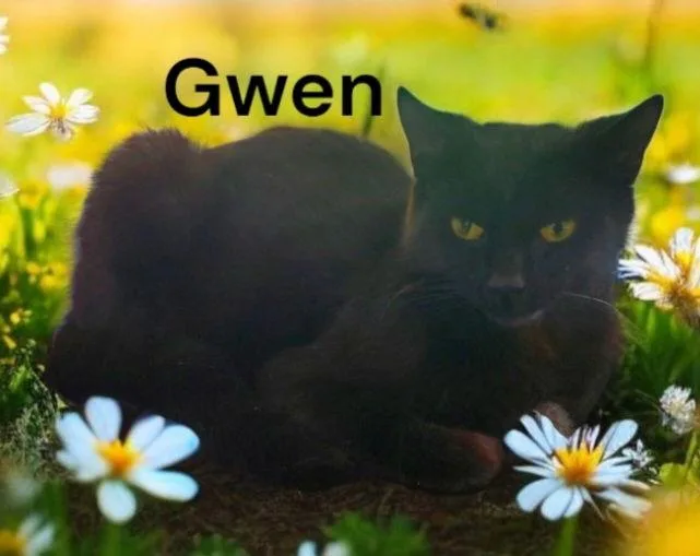 Gwen