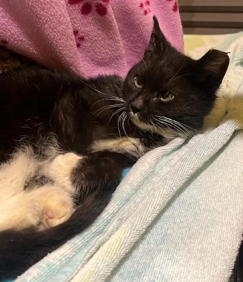 Pistachio thumbnail 2