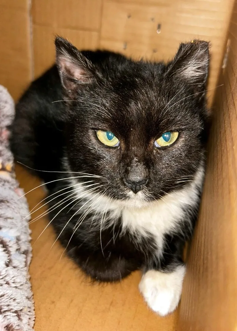 Pistachio thumbnail 3