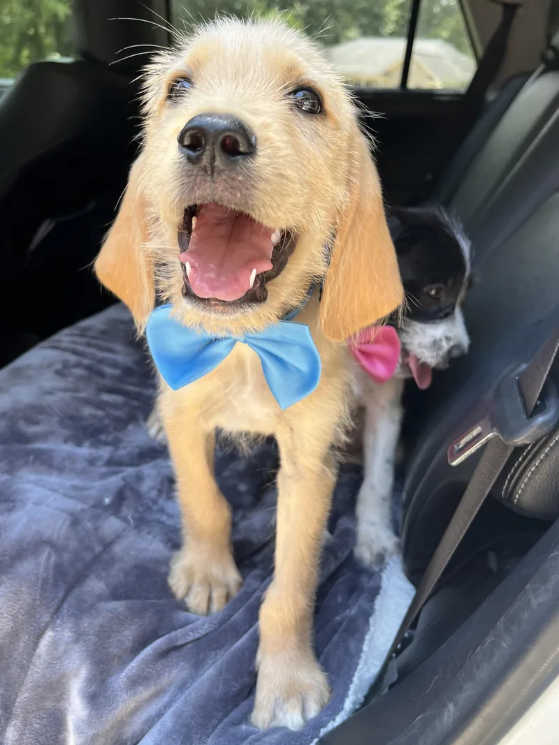 Tucker