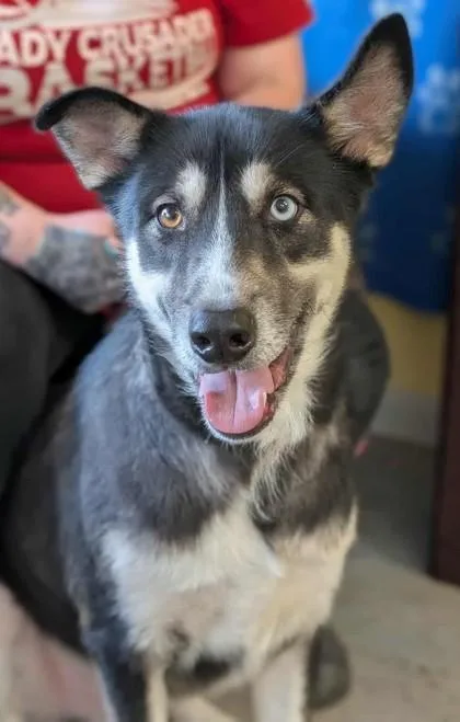 Kendrick thumbnail 2