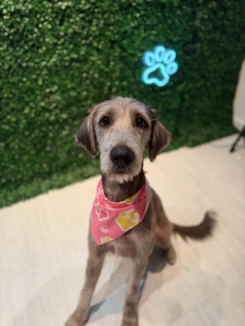 Winnie