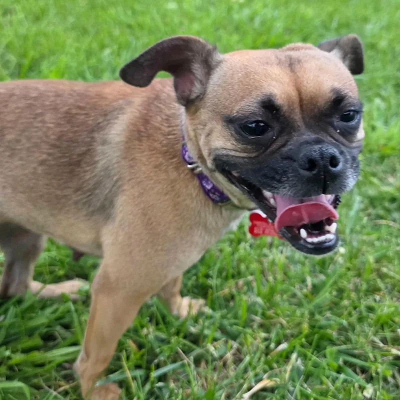 Tessa thumbnail 3