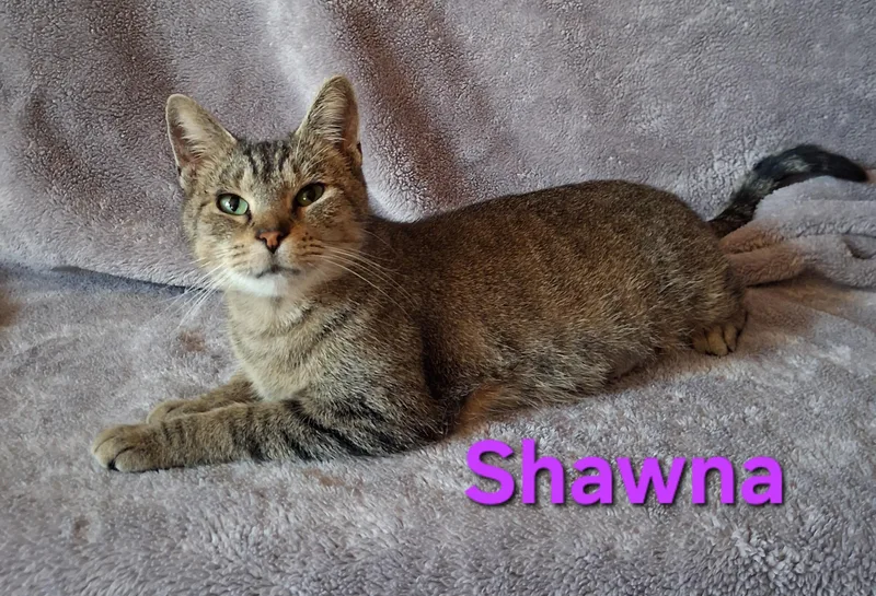 Shawna thumbnail 2