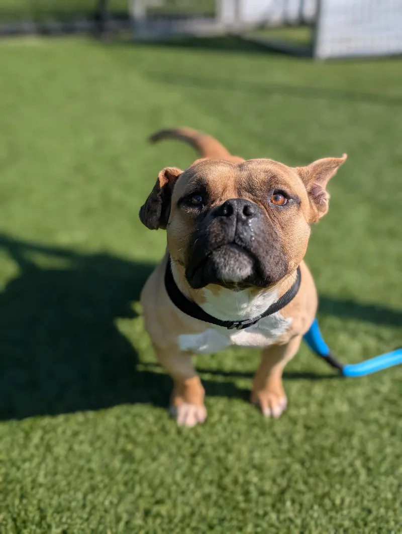 Lucky Coming Soon To thumbnail 2