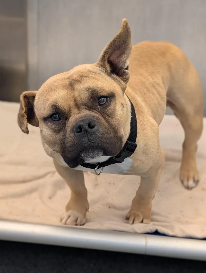 Lucky Coming Soon To thumbnail 3