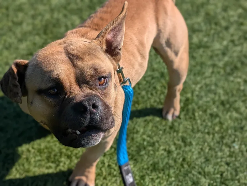 Lucky Coming Soon To thumbnail 4