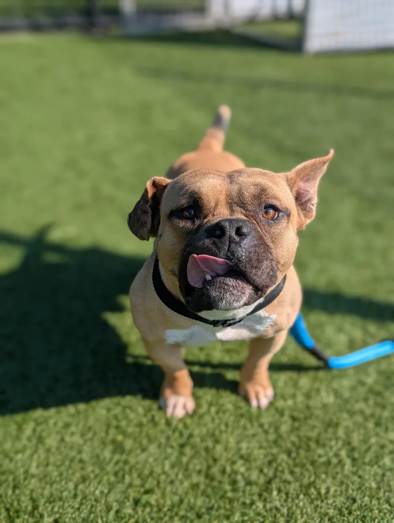 Lucky Coming Soon To