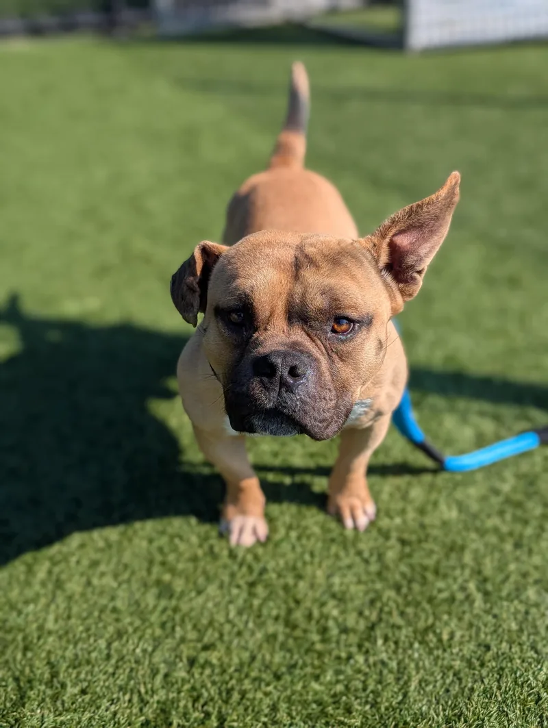 Lucky Coming Soon To thumbnail 5