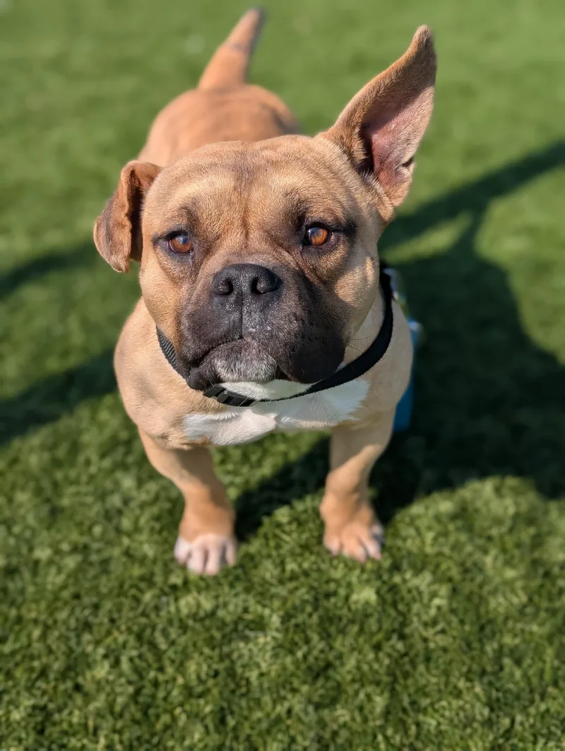 Lucky Coming Soon To thumbnail 6