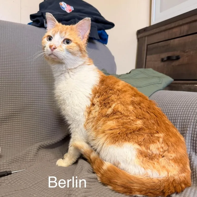 Berlin Meet me at