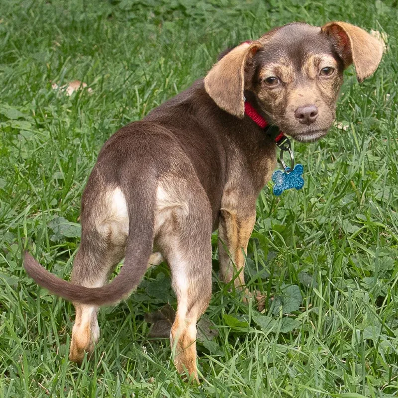 Butters thumbnail 2