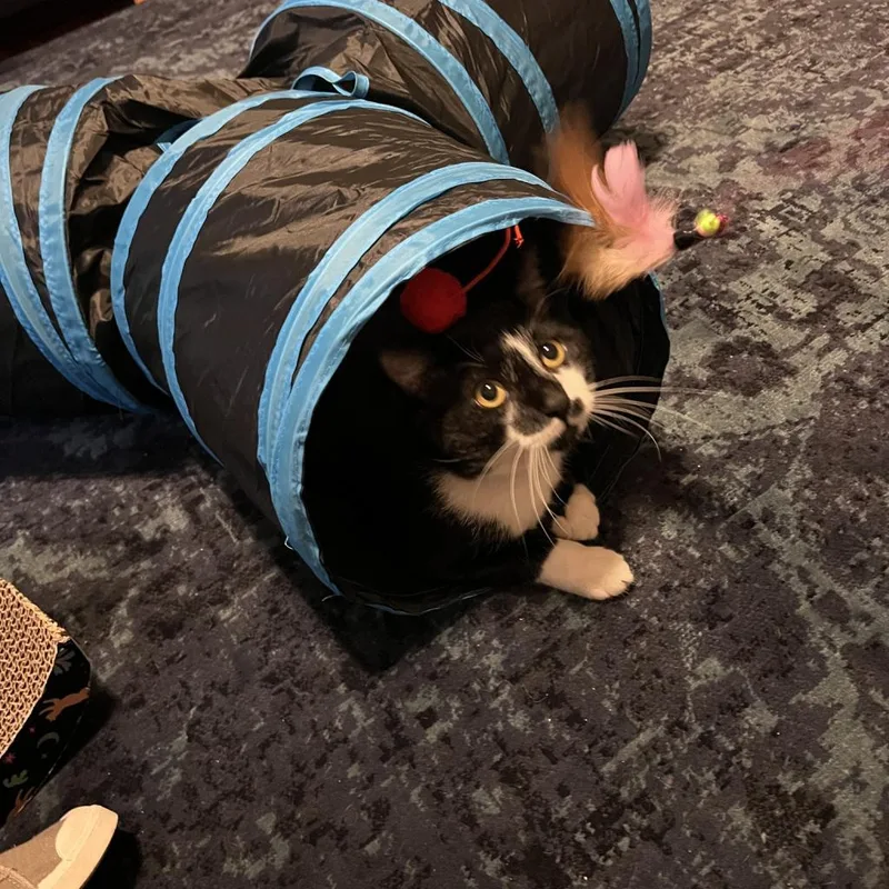 Ice Cream Sundae thumbnail 2