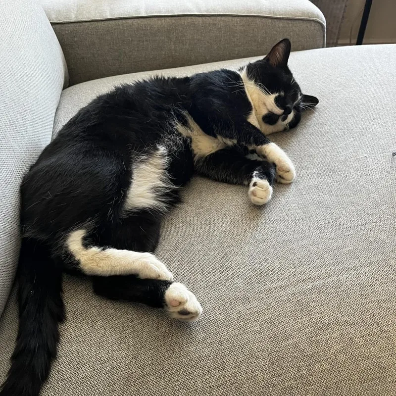 Ice Cream Sundae thumbnail 3