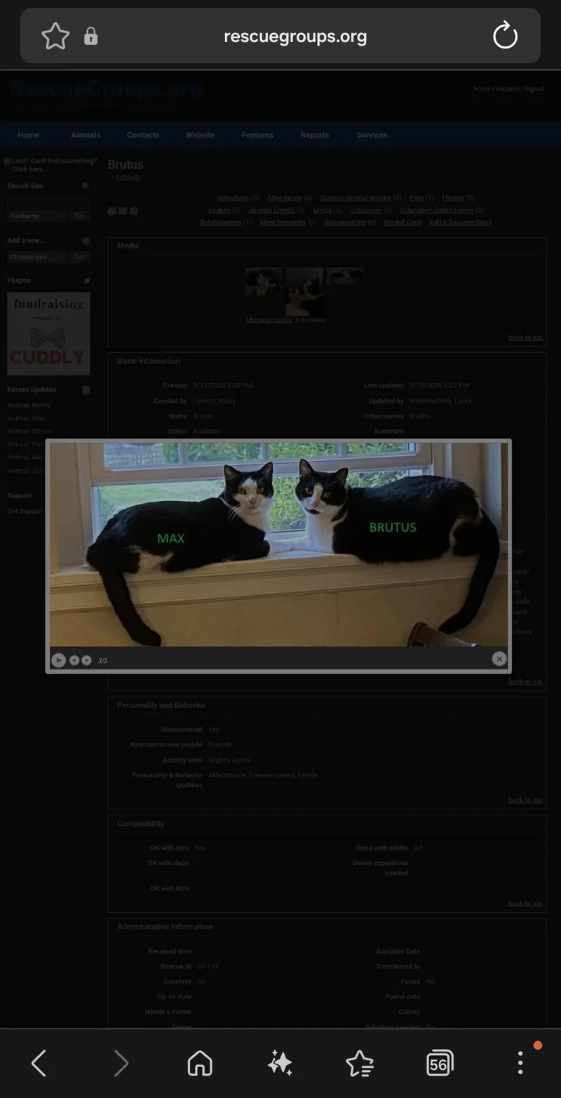 Max thumbnail 3