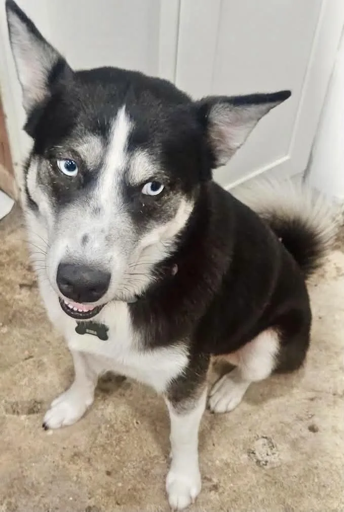 Kira