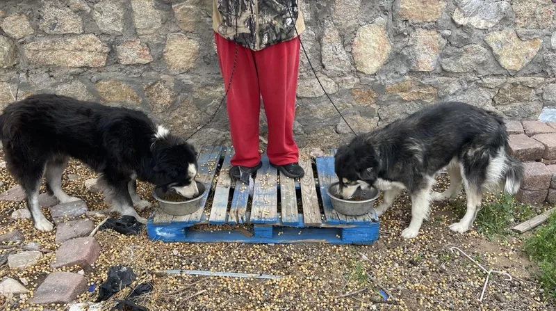 Ryju And Soot thumbnail 2