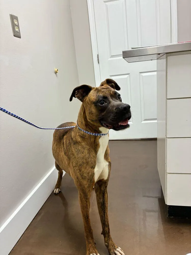 Tiny Mae thumbnail 2