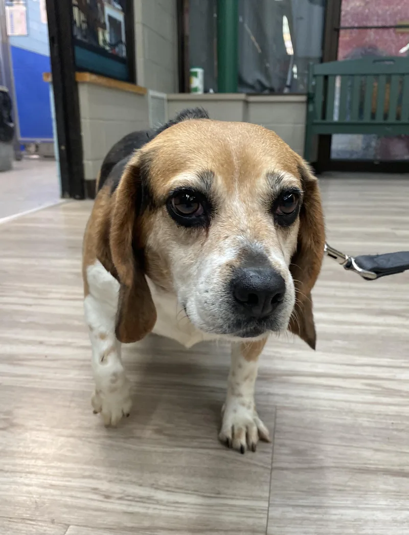 Big Marge thumbnail 2