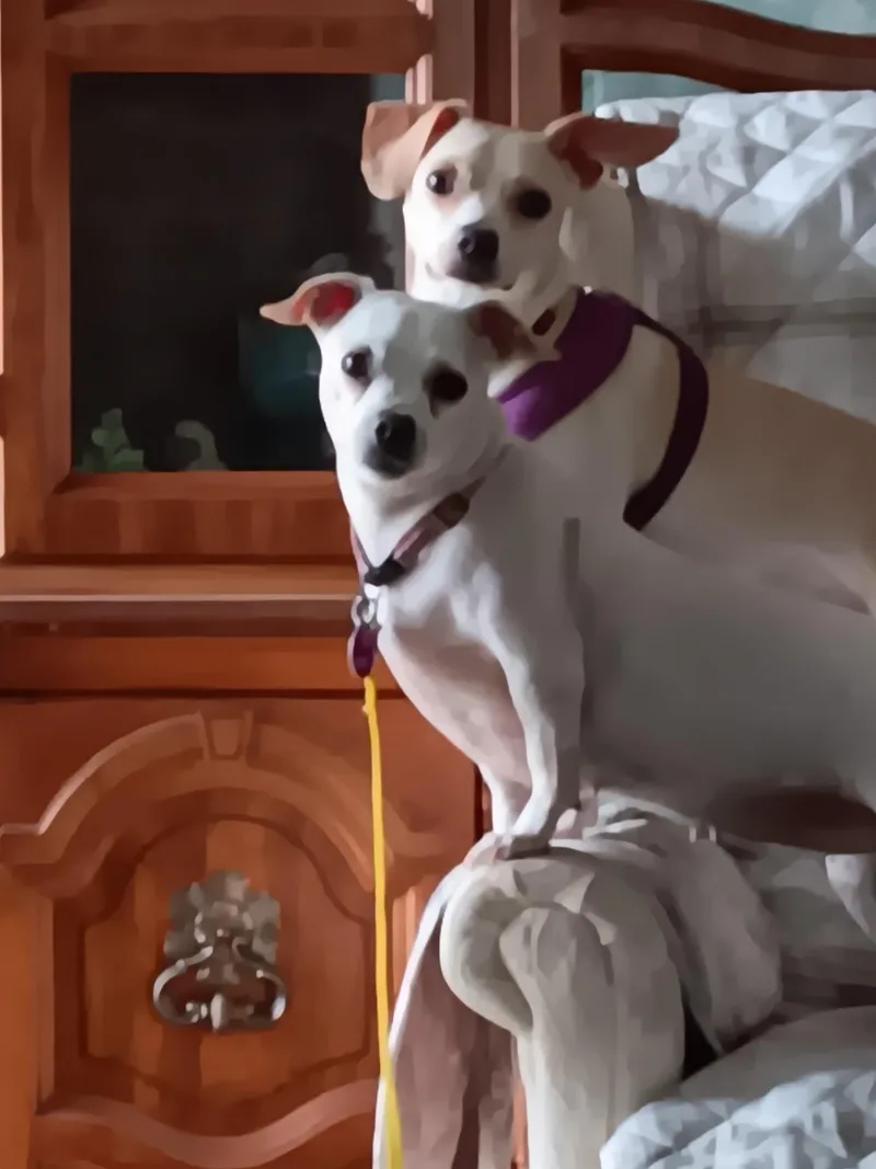 Ebby& Mack thumbnail 2