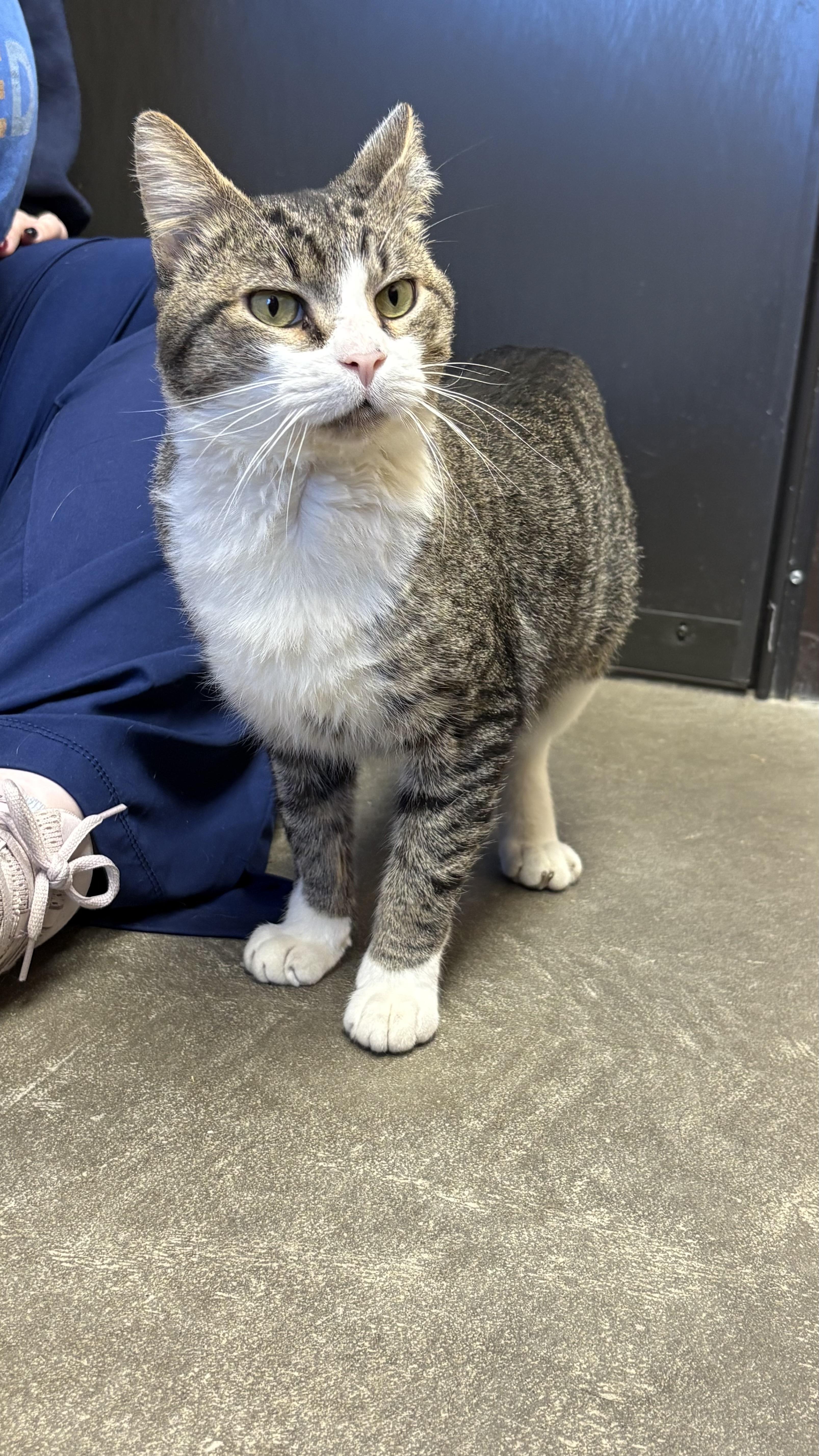 Salvador thumbnail 2