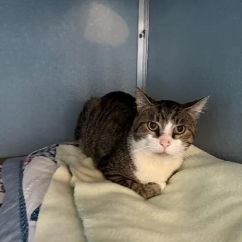 Salvador thumbnail 3