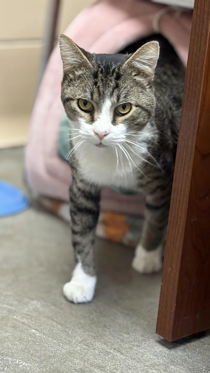 Salvador thumbnail 4