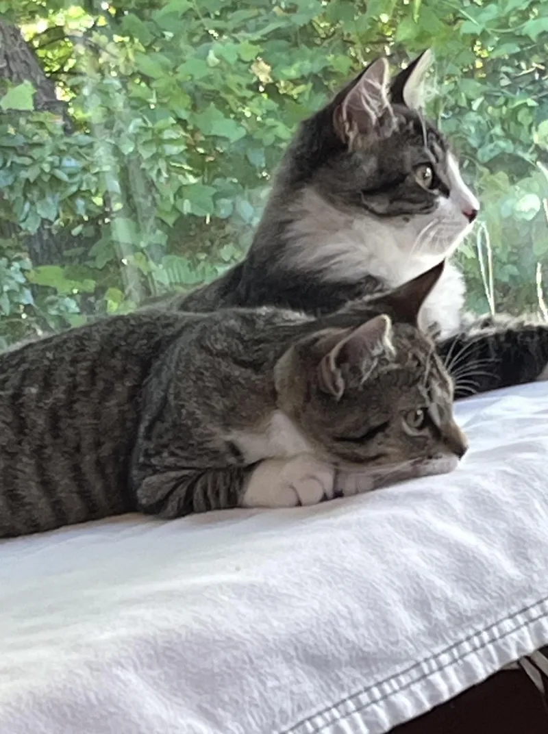 Francine and Francois thumbnail 3