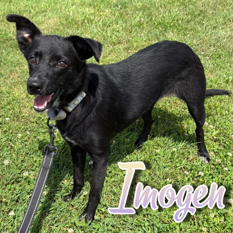Imogen thumbnail 3