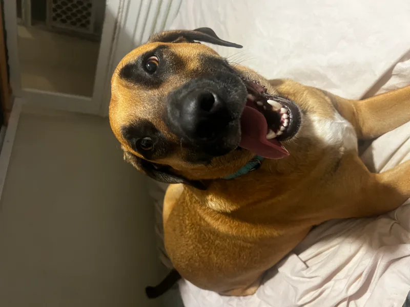 Mack Aka Mack Miller thumbnail 2