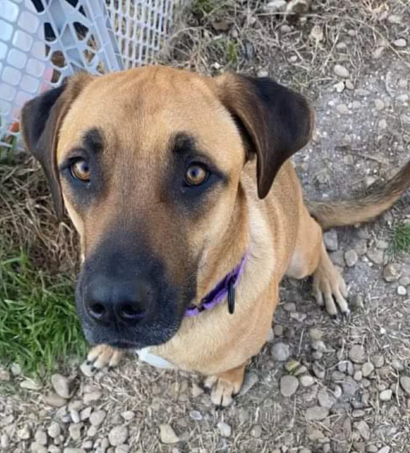 Mack Aka Mack Miller