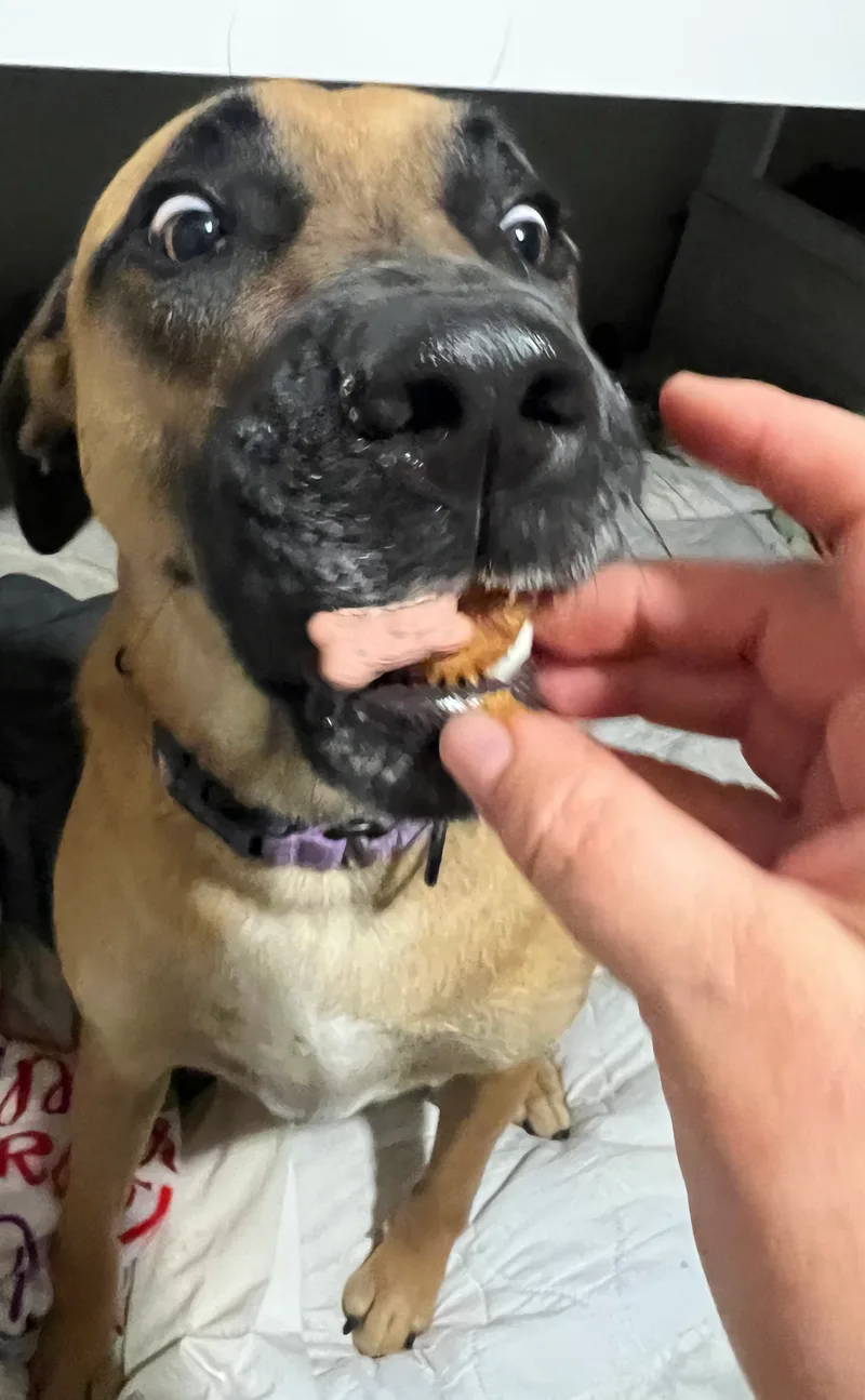 Mack Aka Mack Miller thumbnail 3