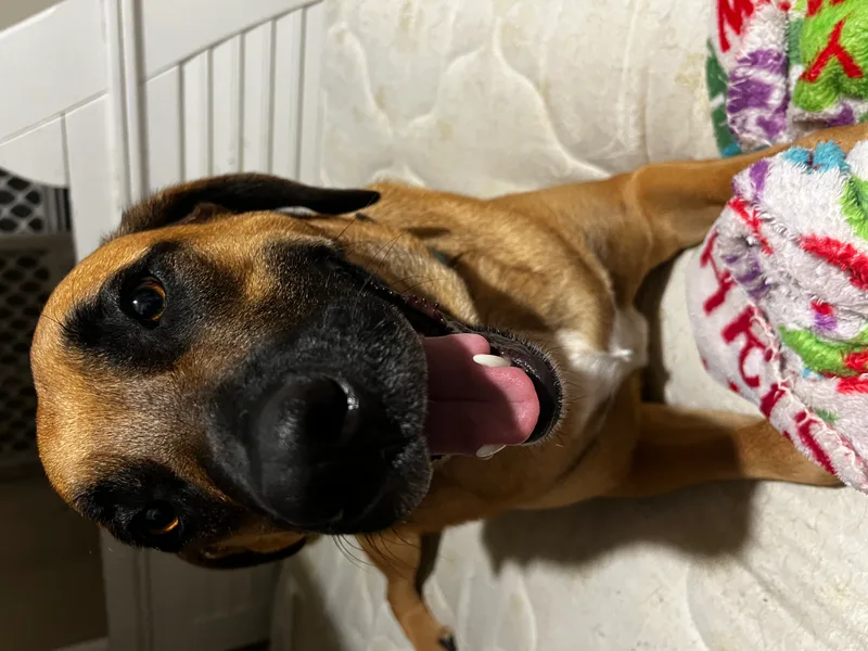 Mack Aka Mack Miller thumbnail 4