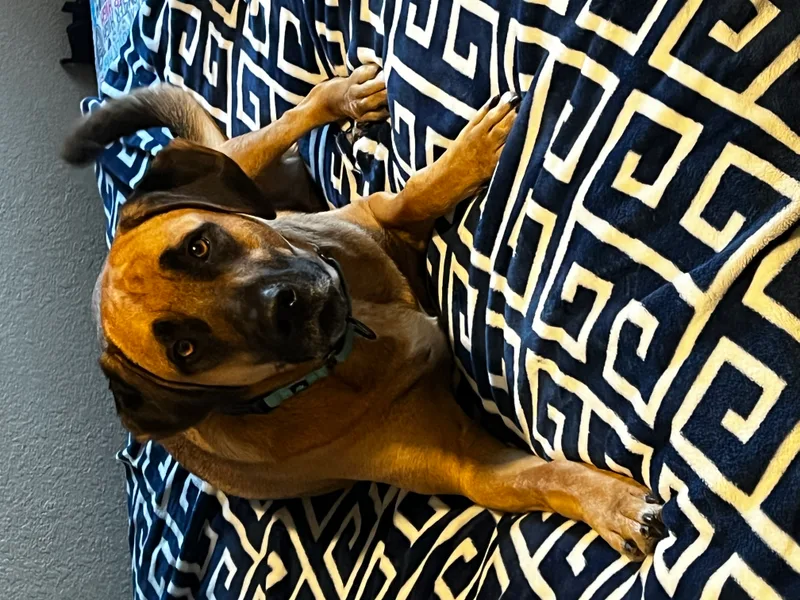 Mack Aka Mack Miller thumbnail 5