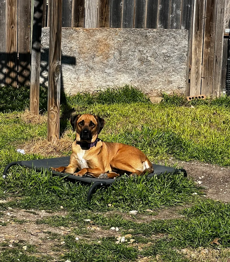 Mack Aka Mack Miller thumbnail 6