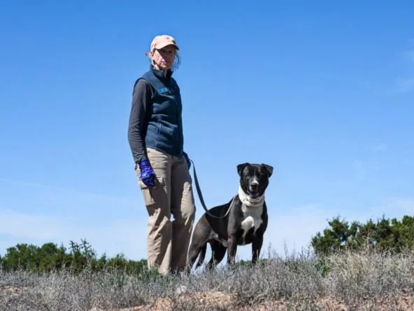 An adult large-sized male Mixed Breed dog named Radly for adoption in Santa Fe, NM